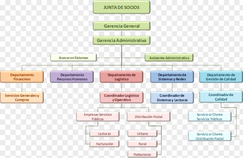 Business Organizational Chart Structure Empresa PNG