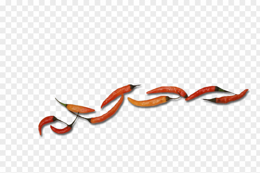 Chili Worm Pickling Invertebrate Font PNG