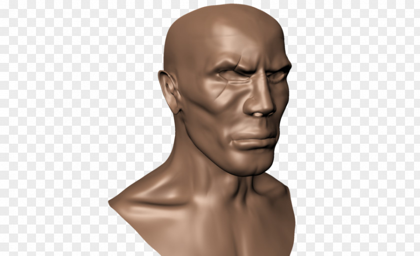 Human Head Chin Homo Sapiens Thumb PNG