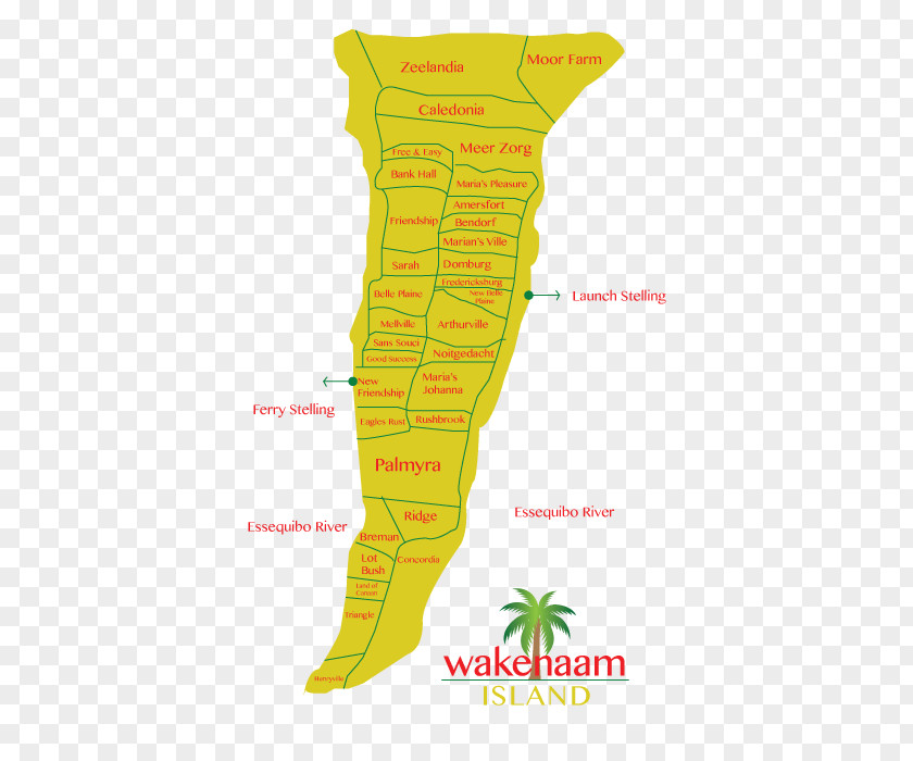 Rice Farming Guyana Product Design Map Tuberculosis PNG