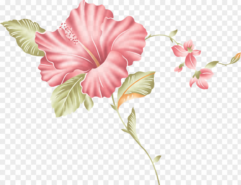 Flowering Plant Petal Flower Pink Hawaiian Hibiscus PNG