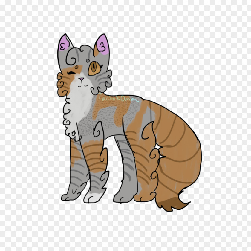 Kitten Whiskers Tabby Cat Wildcat PNG