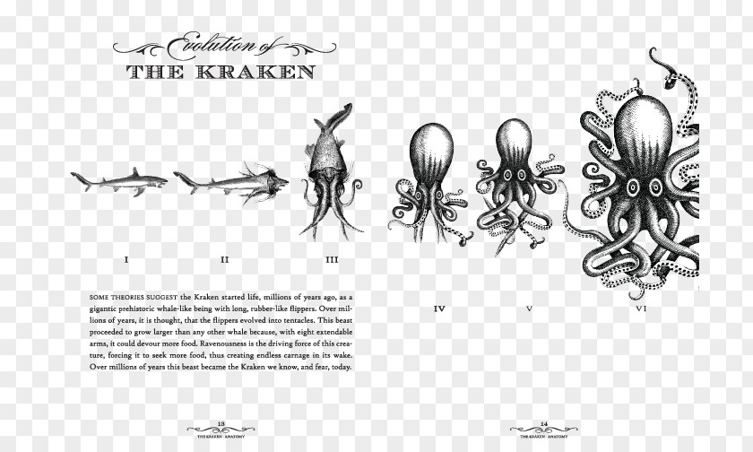 Kraken Rum Logo Visual Arts PNG