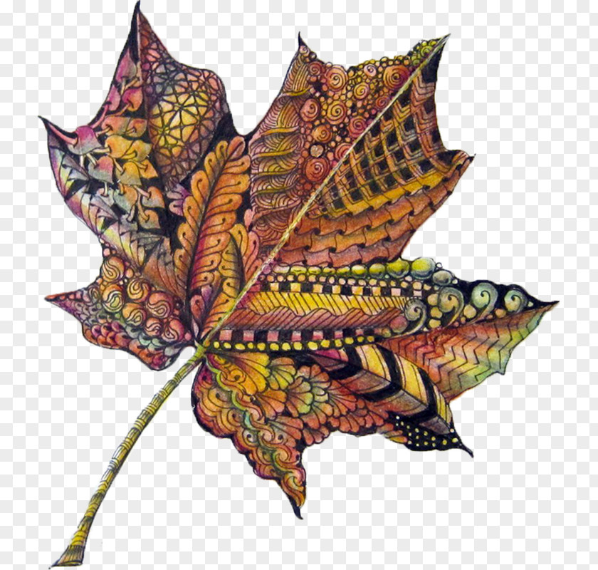 Leaf Autumn Color Drawing PNG