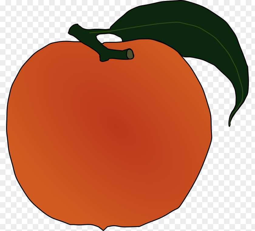 Plum Peach Fruit Clip Art PNG