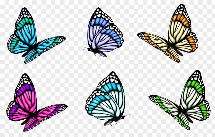 Transparent Butterfly Set Clipart Full-Color Decorative Illustrations Clip Art PNG