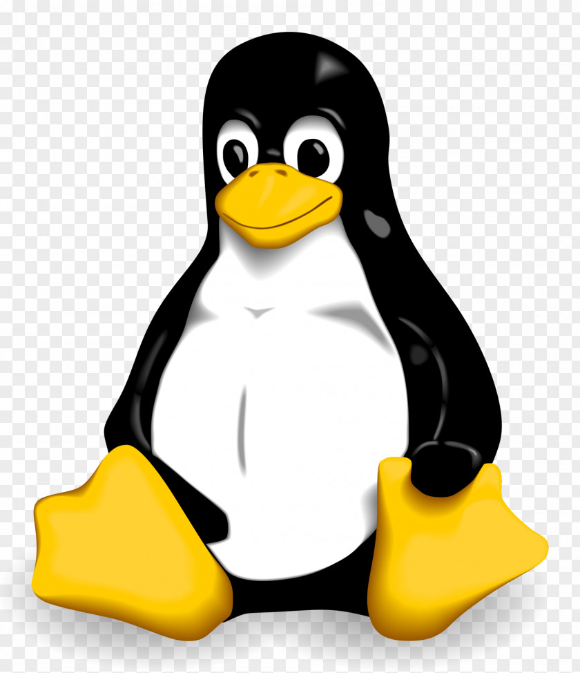 Wikipedia Page Cliparts Linux Kernel Tux Installation PNG