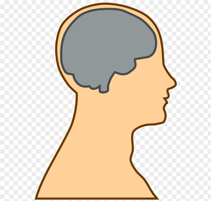 Brain Games Cliparts Human Clip Art PNG