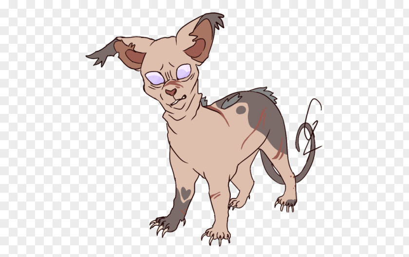 Kitten Whiskers Sphynx Cat Warriors Paw PNG