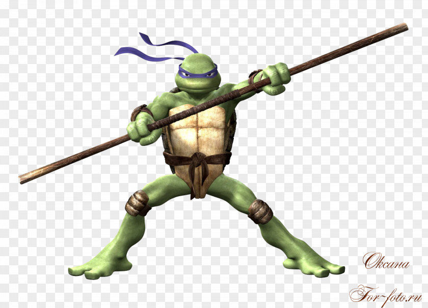 Ninja Turtles Donatello Raphael Leonardo Michelangelo Splinter PNG