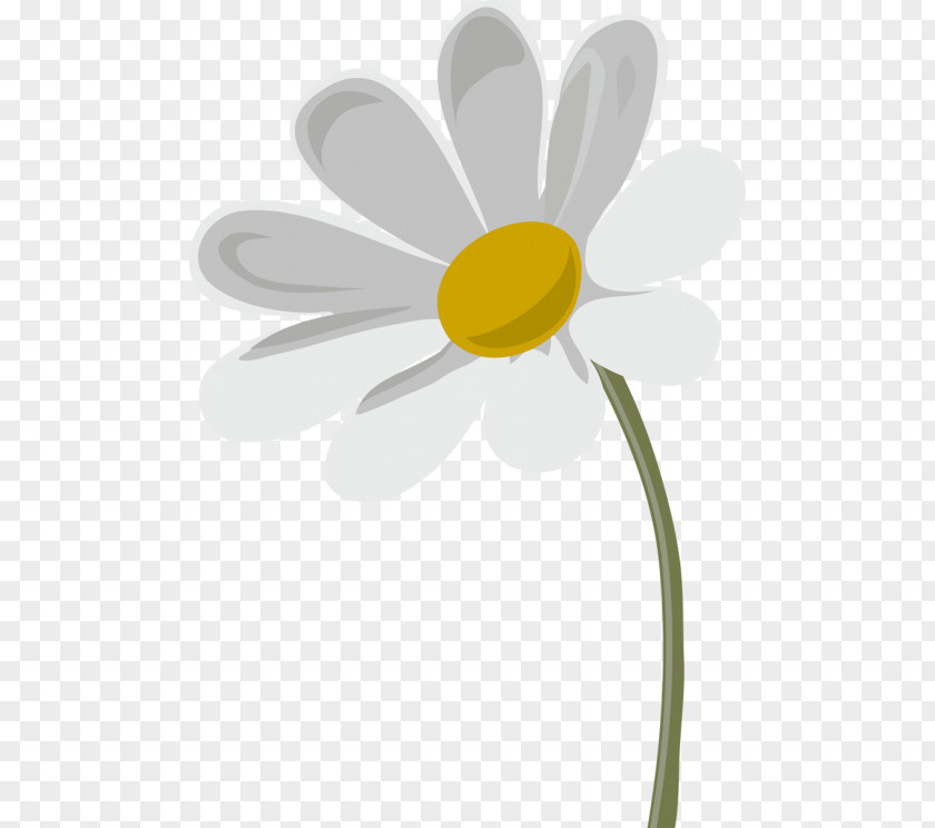 Oxeye Daisy Chamomile Advertising Petal PNG