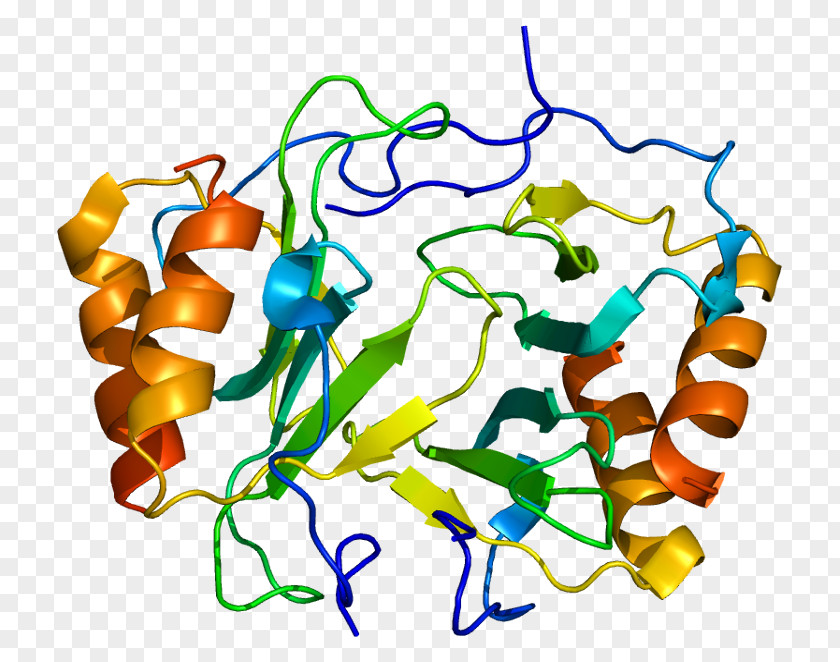 Platelet Factor 4 Chemokine Cytokine Beta-thromboglobulin PNG