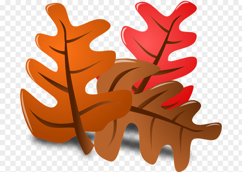 Autumn Clip Art PNG