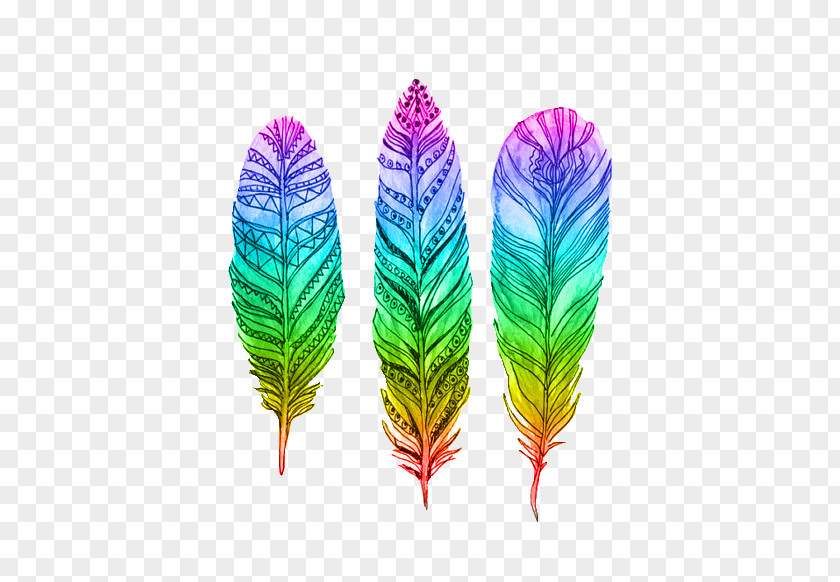 Color Pattern Of Feathers Bird Pin Feather Drawing PNG