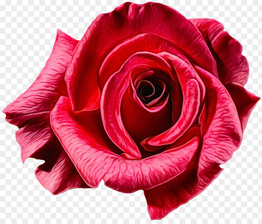 Flower Garden Roses Clip Art Image PNG