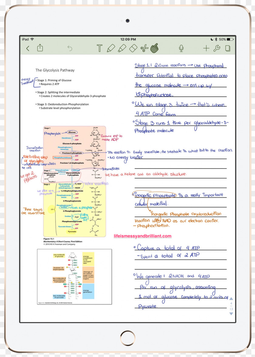 Laptop Notebook Time Management School Diary PNG