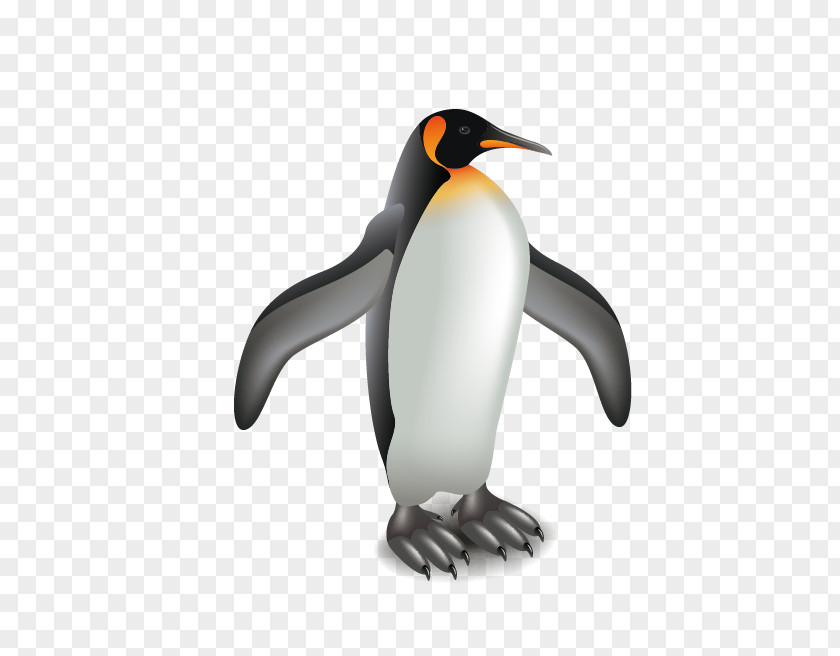 Penguin King Illustration PNG