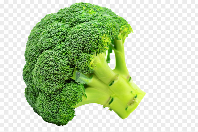 Broccoli Flavor Taste Vegetable Sulforaphane PNG