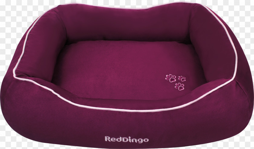 Dog Dingo Bed Cots Car PNG