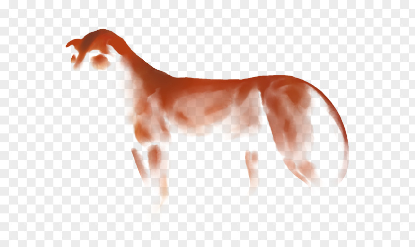 Dog Mustang Neck Mane Snout PNG