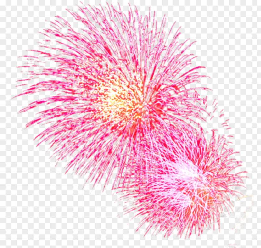 Gorgeous Fireworks Red Pyrotechnics PNG