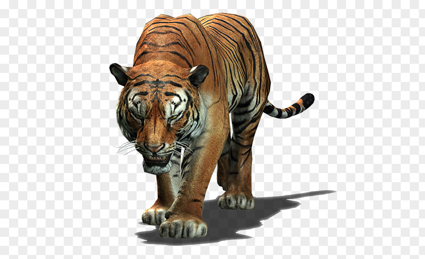 Tiger Indochinese Big Cat Roar PNG