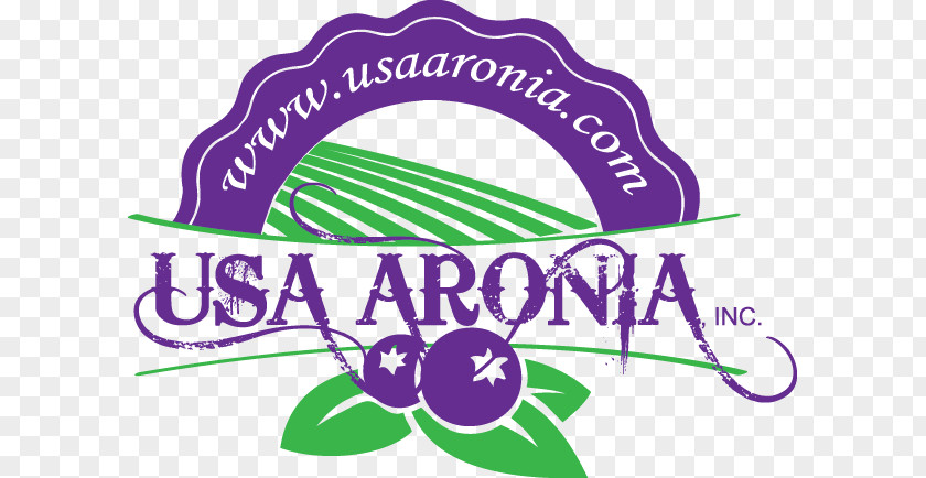 Aronia Berries Clip Art Logo Graphic Design Chokeberry Illustration PNG