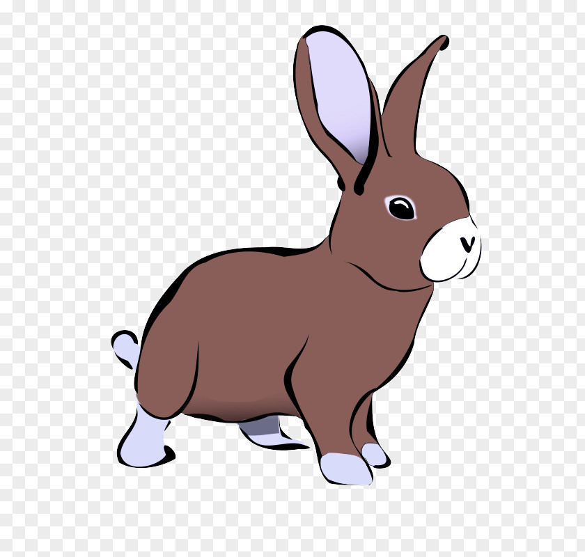 Rabbit Cartoon Rabbits And Hares Hare Snout PNG