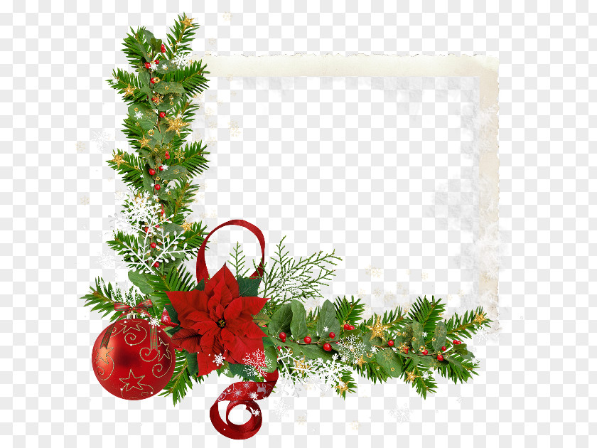 Christmas Ornament Ded Moroz New Year Tree PNG