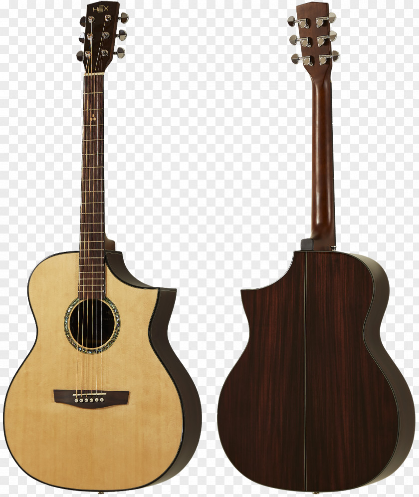 Acoustic Guitar Steel-string Höfner Electric PNG