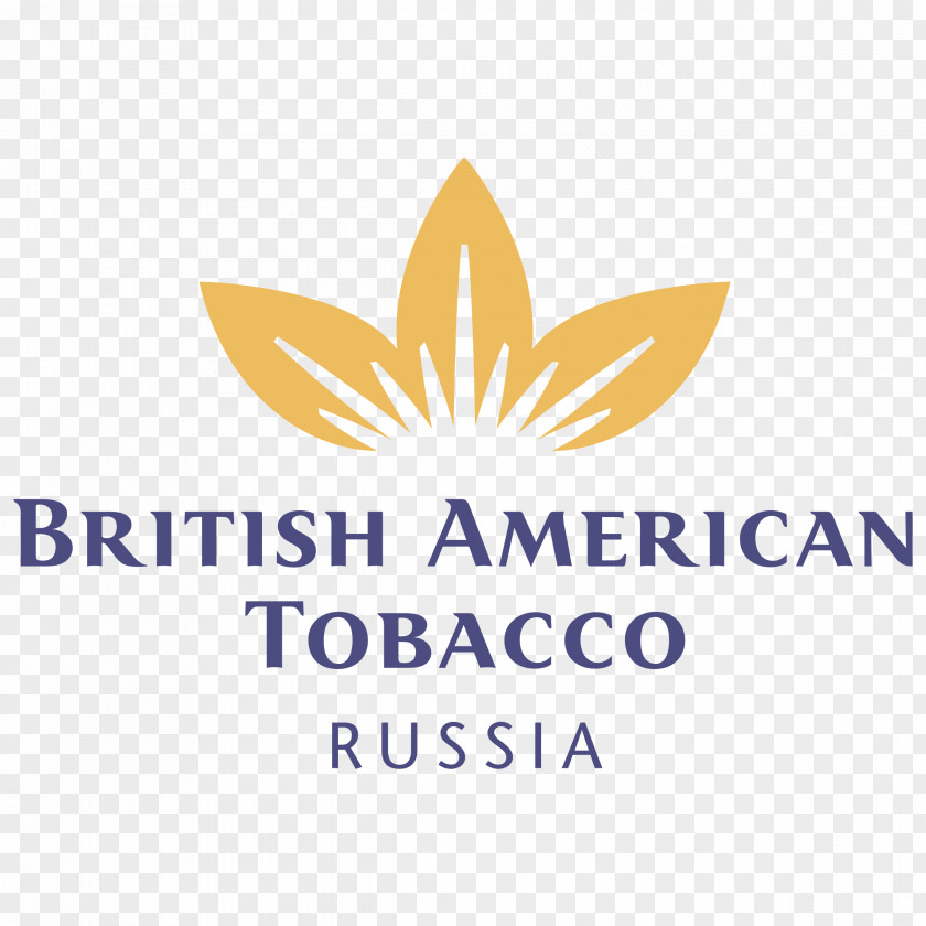 American Express Logo BRITISH AMERICAN TOBACCO JAPAN, LTD. Brand Company PNG