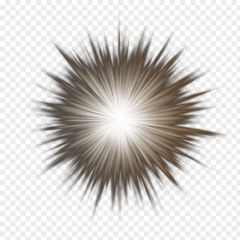 Flash Effect Adobe Player Download Icon PNG