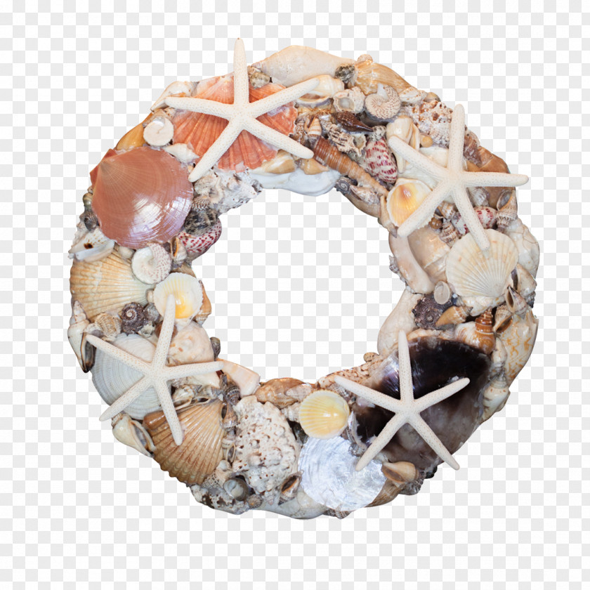 Seashell Wreath Clam Starfish Christmas PNG