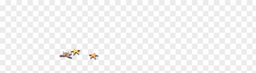 Starfish Brand Pattern PNG