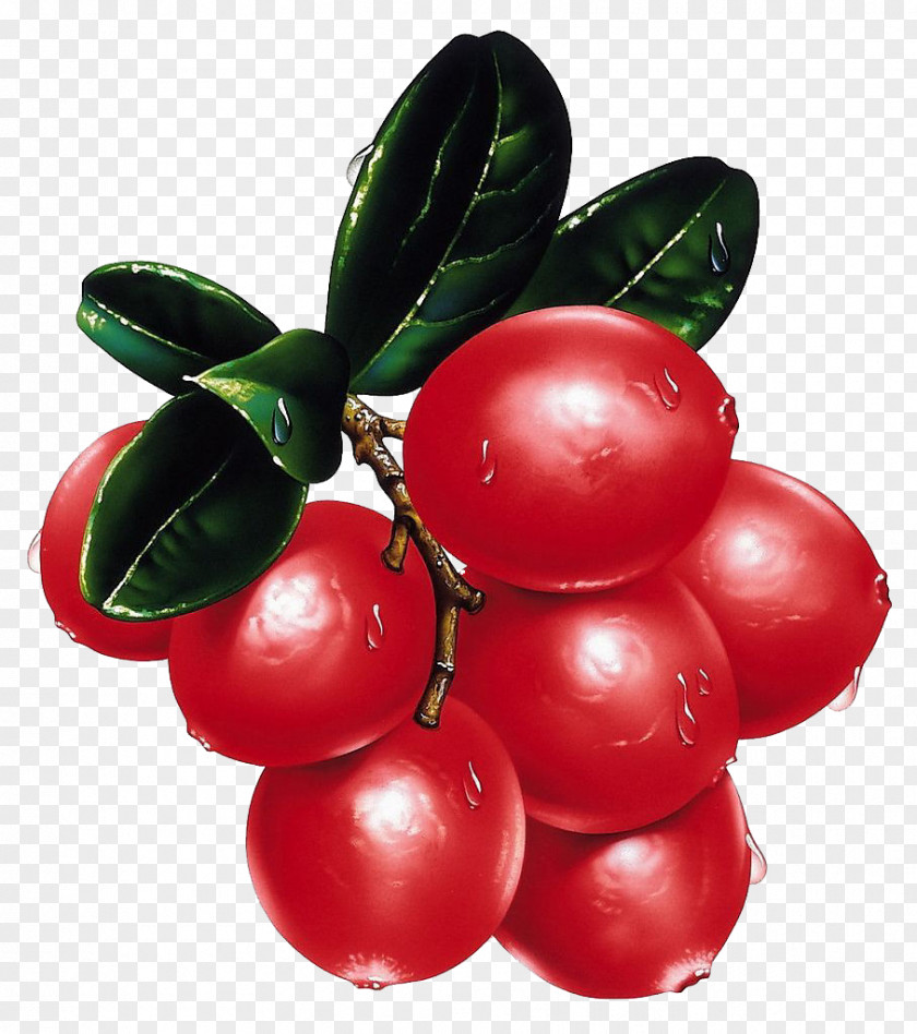 Tomatoes, Fruits And Vegetables Fruit PNG