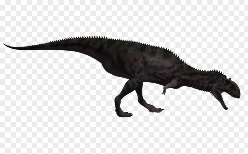 Dinosaur Majungasaurus Tyrannosaurus Animal PNG