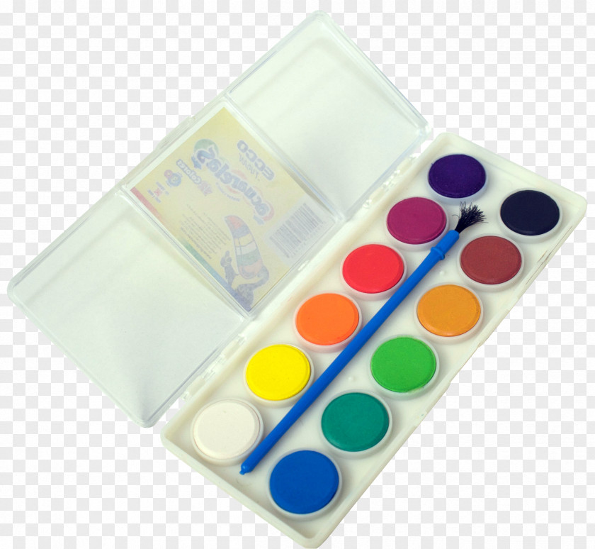 Painting Watercolor Palette Paintbrush PNG
