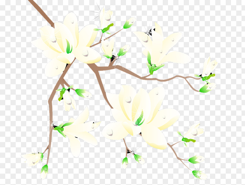 Plum Flower Blossom PNG