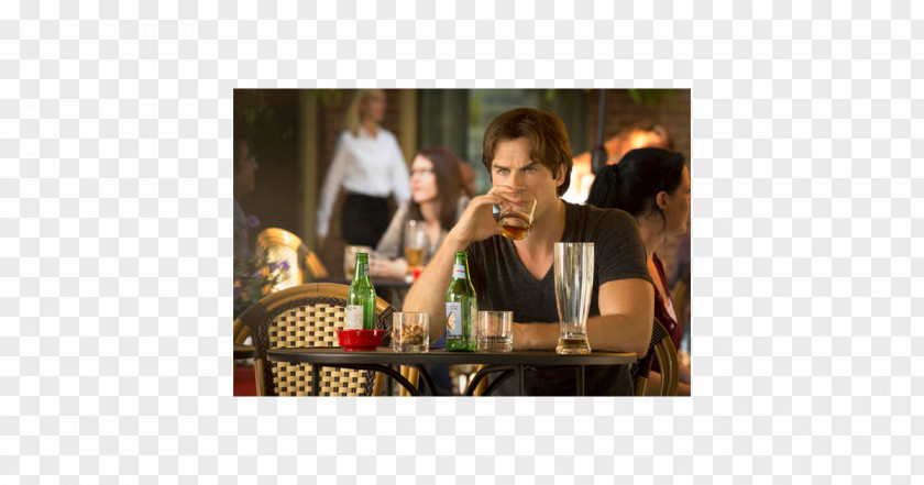 Season 7 Television ShowVampire Damon Salvatore Elena Gilbert The Vampire Diaries PNG