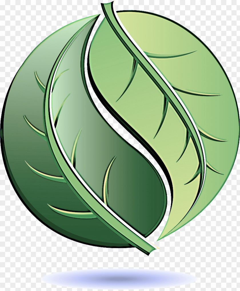 Symbol Logo Green Leaf Tree Plant PNG