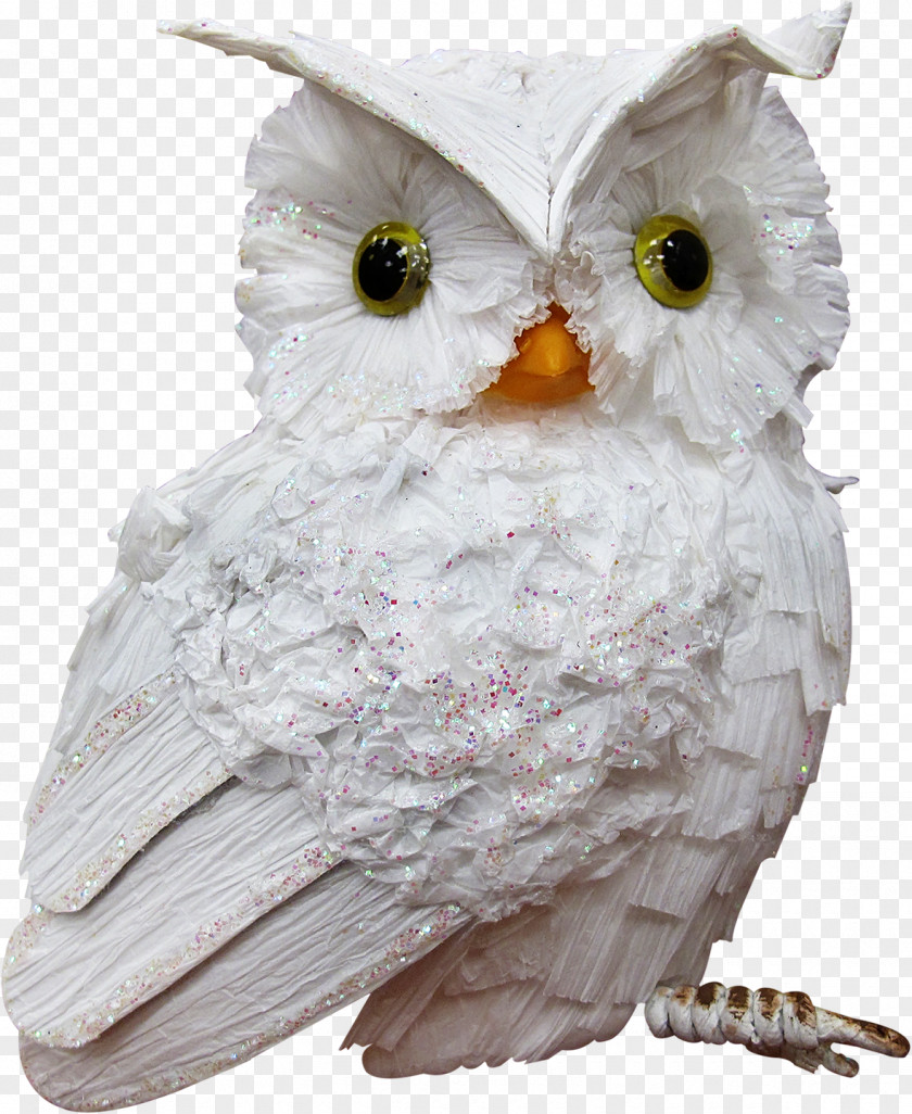 Creative Owl Little Bird Clip Art PNG