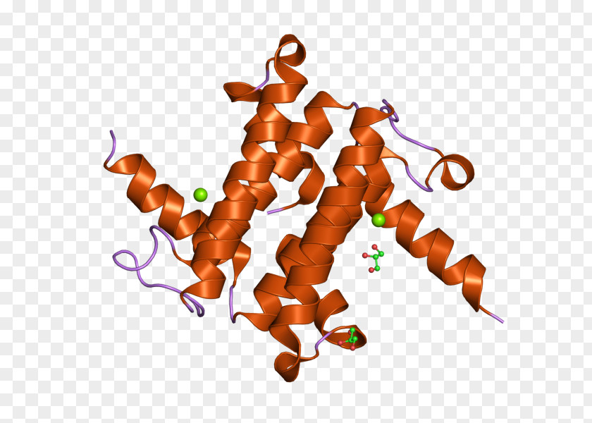 European Bioinformatics Institute Tamarind Clip Art PNG