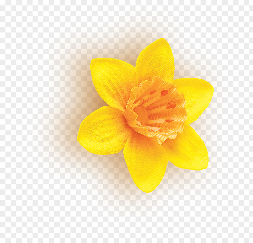 Flower Yellow Textile Petal Disguise PNG