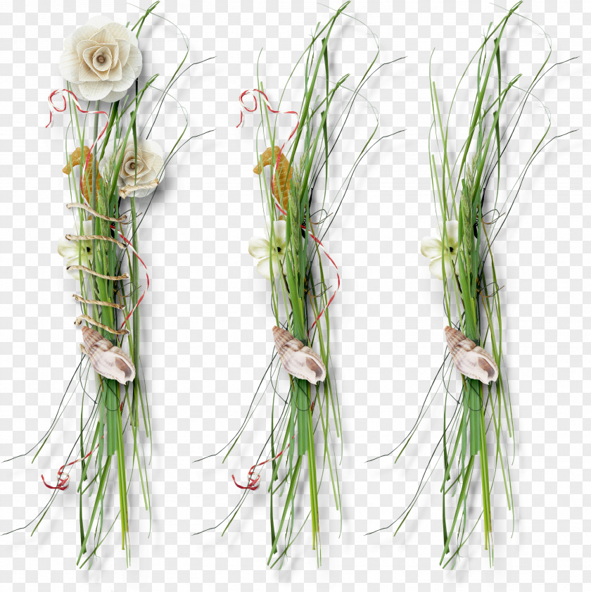 Fresh Grass Floral Design DepositFiles IFolder Plant Stem Clip Art PNG