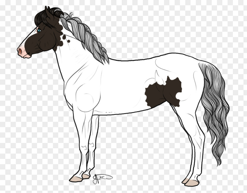 Icelandic Horse Mule Mustang Mare Stallion PNG