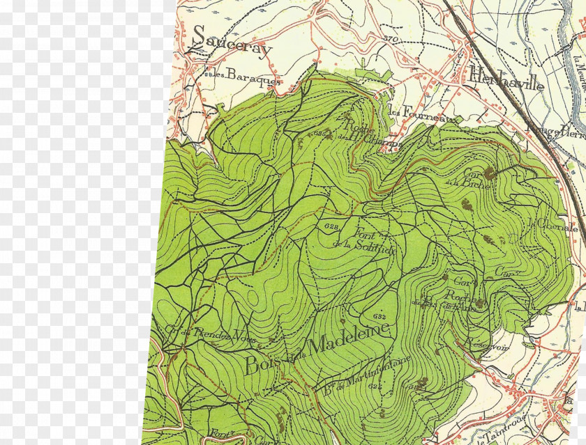 Map Ecoregion Tree Tuberculosis PNG