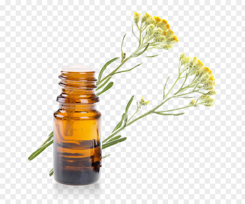 Oil Essential Neroli Roman Chamomile Sandalwood PNG