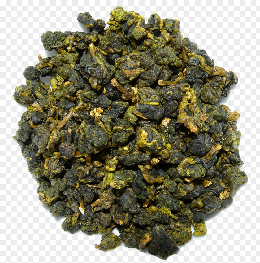 Tea Oolong Herbal Plant GABA PNG