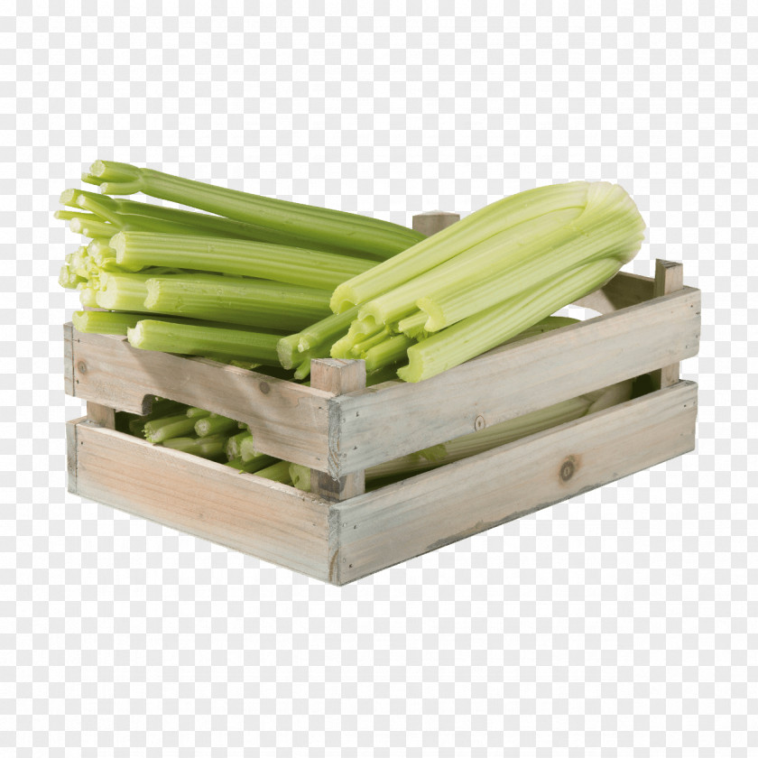 Vegetable Celery Aldi Shopping List PNG