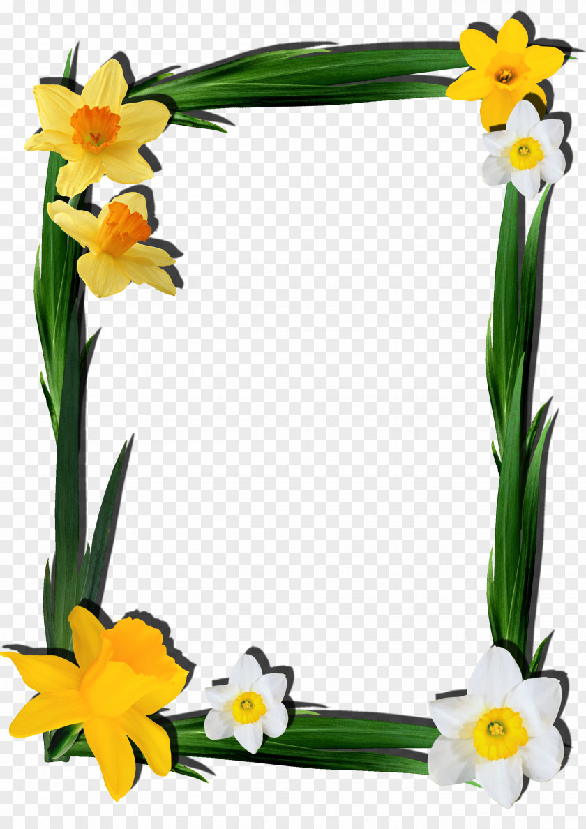 Floral Frame Desktop Wallpaper Clip Art PNG